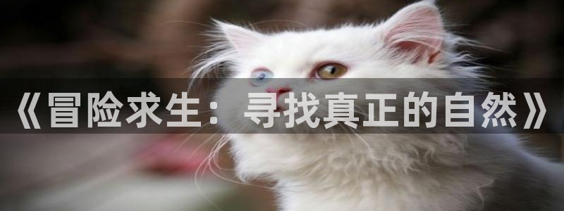 神马天堂在线影院：《冒险求生：寻找真正的自然》