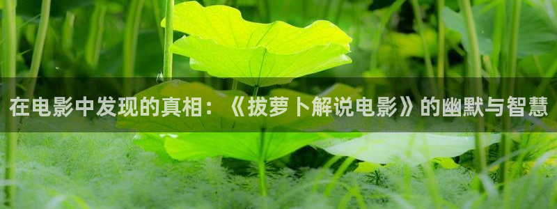 电影天堂影院免费观看：在电影中发现的真相：《拔萝卜解说电影》的幽默与智慧