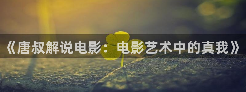 午夜精品男人天堂av：《唐叔解说电影：电影艺术中的真我》