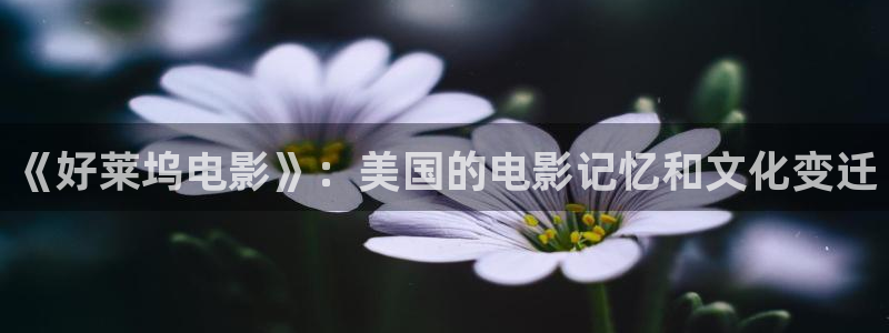 亚洲天堂av电影在线看免费不卡：《好莱坞电影》：美国的电影记忆和文化变迁