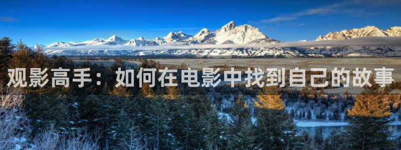6080yy电影天堂：观影高手：如何在电影中找到自己的故事