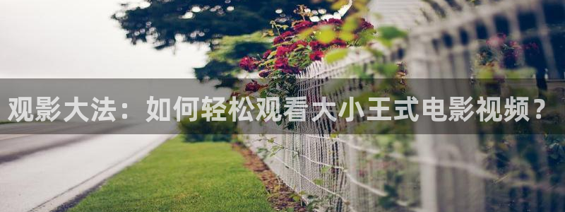 亚洲午夜电影天堂