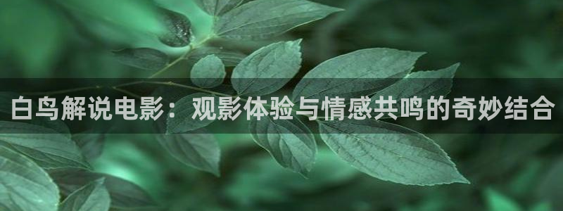 天堂av午夜