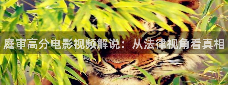 国产天堂av电影