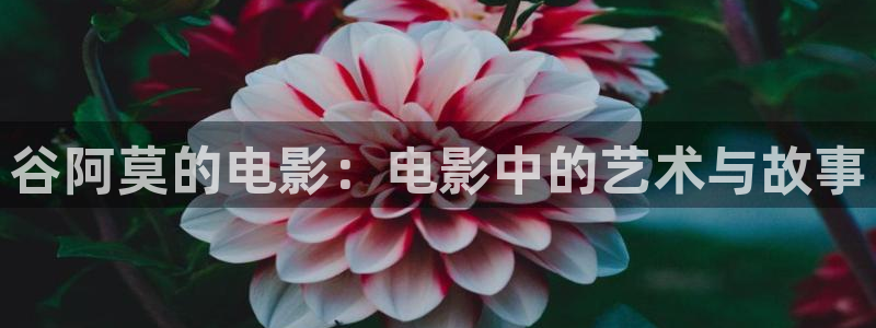 日漫天堂