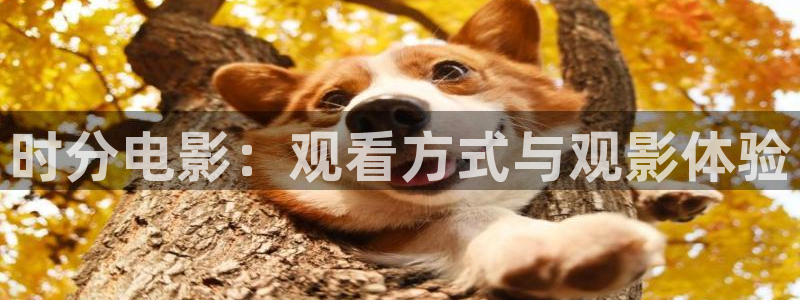 av电影网站不卡天堂