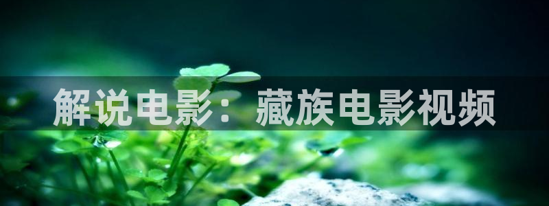 涩漫天堂下载安装包