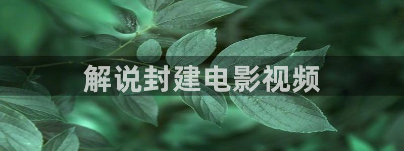 天天影视男人的天堂