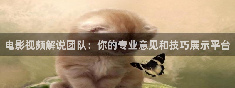 电影通午夜天堂2