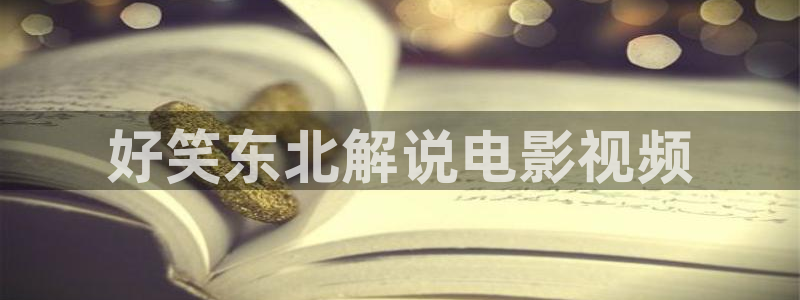 影视大全电影天堂：好笑东北解说电影视频