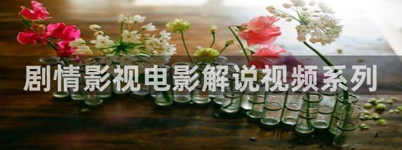 神马电影影院天堂：剧情影视电影解说视频系列