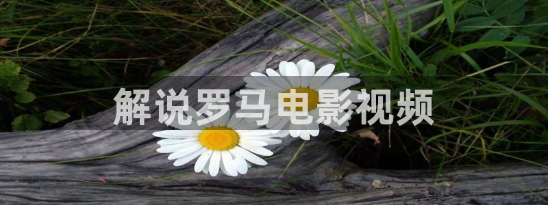 天堂影院免费在线观看电视剧：解说罗马电影视频