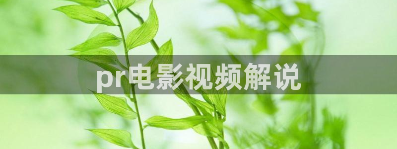 午夜天堂在线：pr电影视频解说