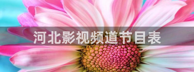久久精品女人天堂av影院：河北影视频道节目表