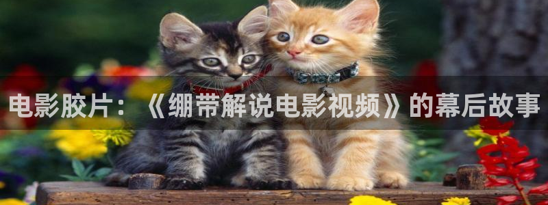 禁天堂漫怎么安装：电影胶片：《绷带解说电影视频》的幕后故事