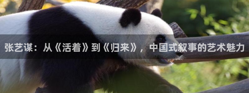 天堂影院电影在线观看：张艺谋：从《活着》到《归来》，中国式叙事的艺术魅力