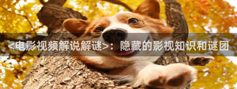动画电影天堂下载：<电影视频解说解谜>：隐藏的影视知识和谜团