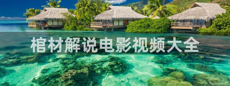 天堂网电影电视剧完整版在线观看