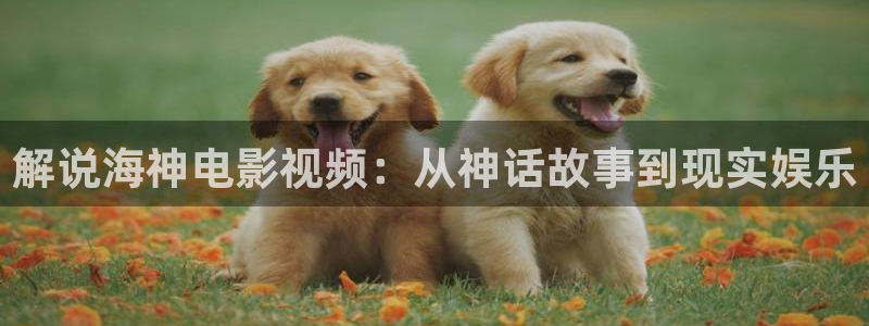yy4480男人天堂：解说海神电影视频：从神话故事到现实娱乐