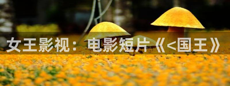80电影天堂伦理：女王影视：电影短片《<国王》