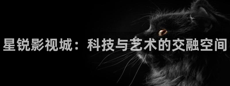 电影天堂久久蜜桃：星锐影视城：科技与艺术的交融空间
