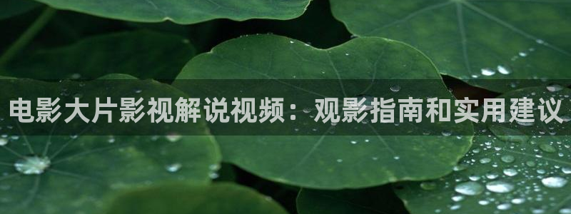 午夜天堂神马影院
