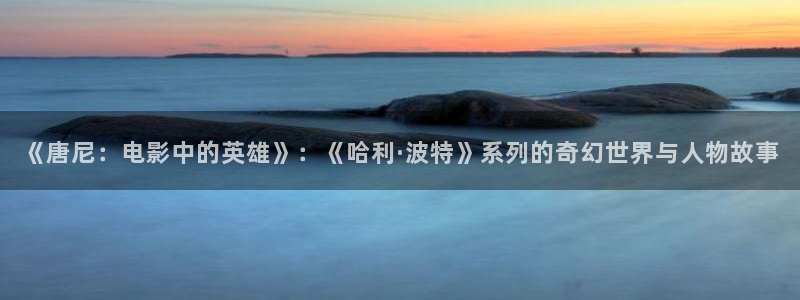 6080新视觉电影天堂：《唐尼：电影中的英雄》：《哈利·波特》系列的奇幻世界与人物故事