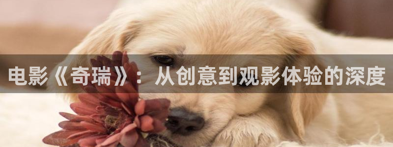 深夜在线观看天堂：电影《奇瑞》：从创意到观影体验的深度