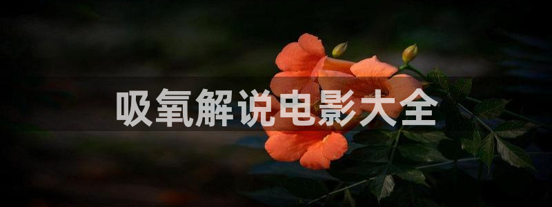 漫禁娘天堂为什么进不去：吸氧解说电影大全
