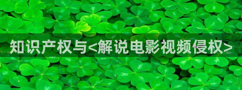 亚洲卡通天堂：知识产权与<解说电影视频侵权>