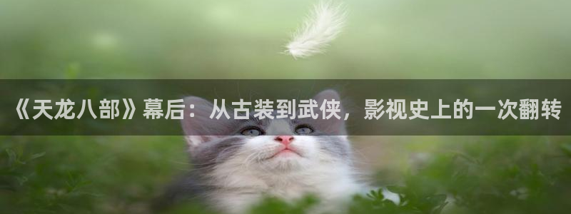 天堂影视：《天龙八部》幕后：从古装到武侠，影视史上的一次翻转