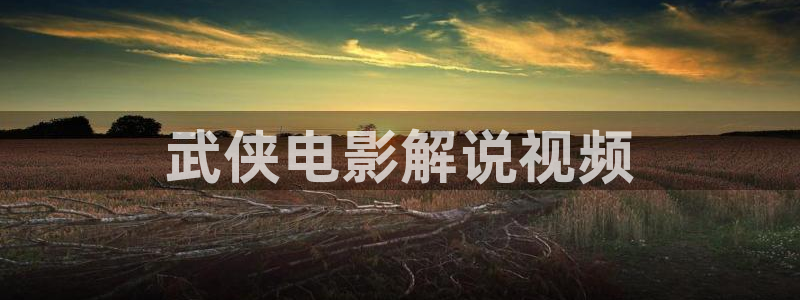 神马影视午夜天堂：武侠电影解说视频