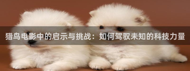 天堂影院麻豆：猎鸟电影中的启示与挑战：如何驾驭未知的科技力量