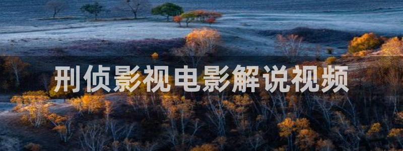飘花新电影天堂：刑侦影视电影解说视频