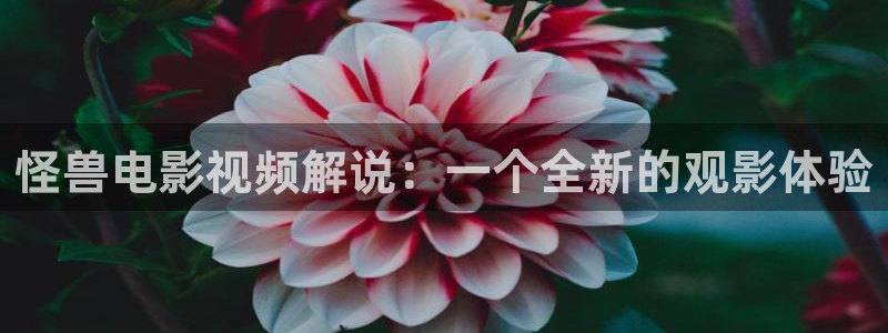 神马电影天堂网
