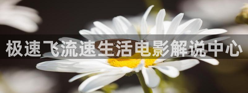 漫天堂破解版