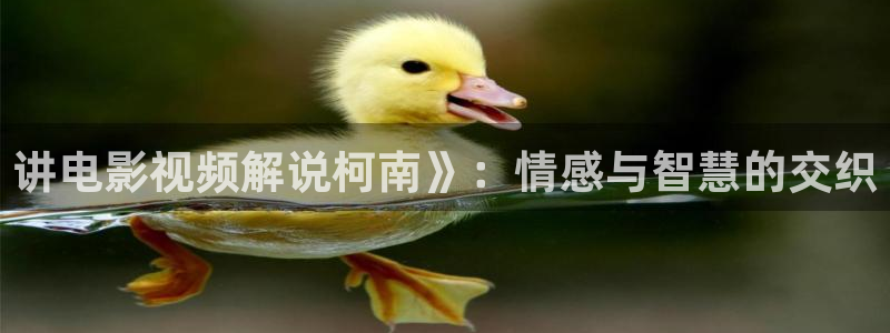 天堂神马影院