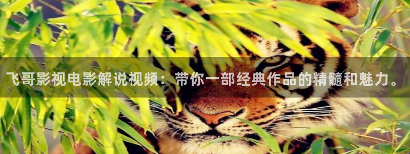 神马影院天堂电影