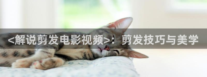 秋霞电影天堂在线观看