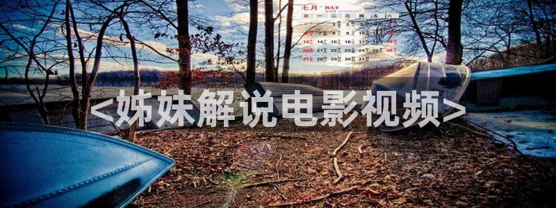 天堂视频不卡