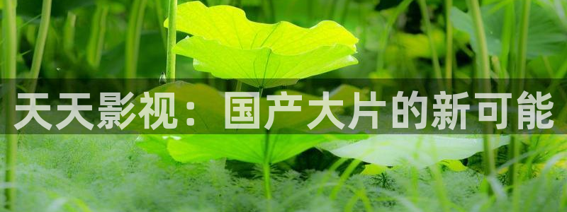 80电影天堂伦理