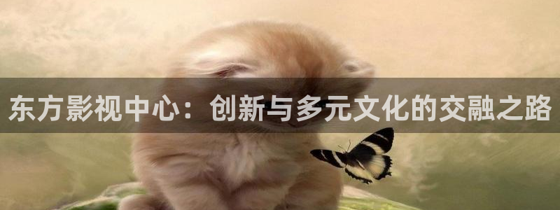 午夜电影天堂网