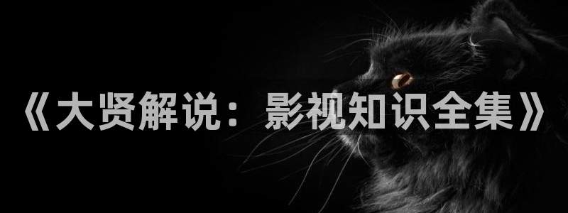 电影天堂6080yy电影在线看