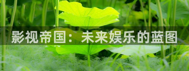 天堂影院免费在线观看电视剧