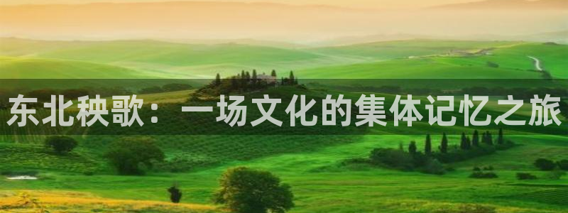 天堂动画网