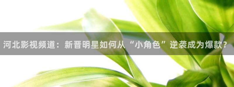 精漫天堂