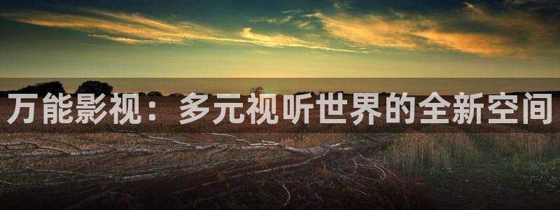 神马影院天堂电影