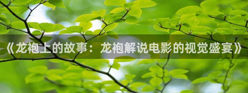 天堂视频不卡