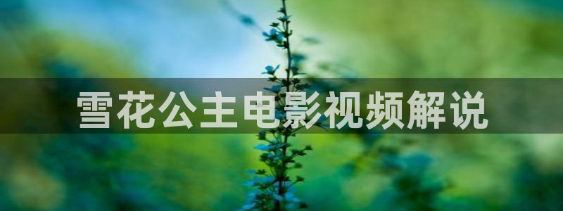 好似天堂秋霞影院