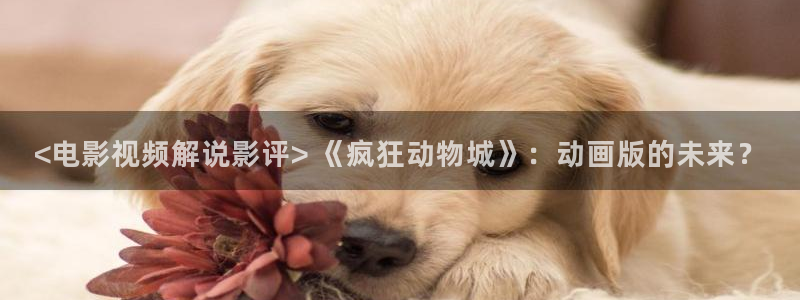 国漫天堂